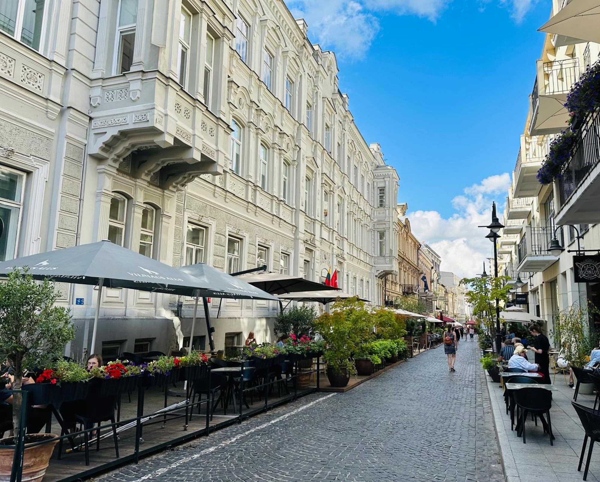 Vilnius Street Apartment Luaran gambar